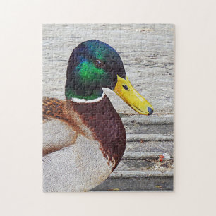 Mallardeeend Puzzle Legpuzzel