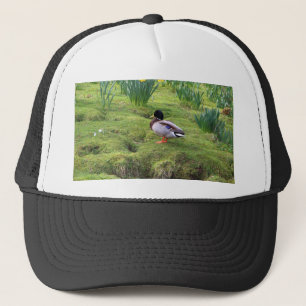 Mallardeenden aan de oever van een rivier trucker pet