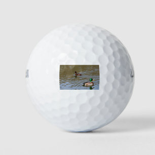 Mallardeenden en tufted eenden op een rivier golfballen