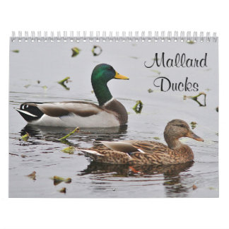 Mallardeenden Kalender