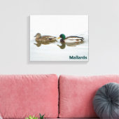 Mallards Canvas Afdruk (Insitu (Woonkamer))