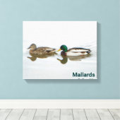 Mallards Canvas Afdruk (Insitu (Houten vloer))