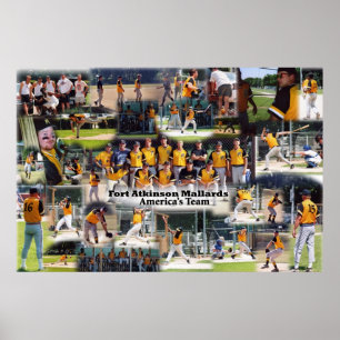 Mallards Collage Poster