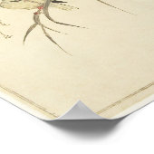 Mallards en een Kingfisher (Utamaro) Poster (Hoek)