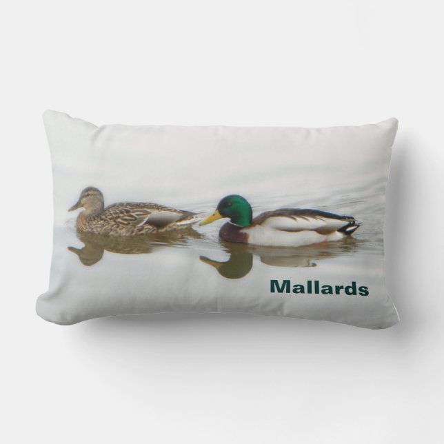 Mallards Kussen (Voorkant)