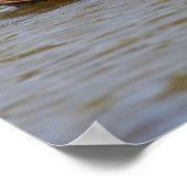 Mallards Poster (Hoek)