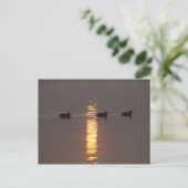Mallards Postkaart (Staand voorkant)