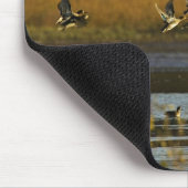 Mallards uit water muismat (Hoek)