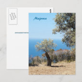 Mallorca Briefkaart (Voorkant / Achterkant)
