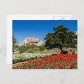 Mallorca - Cathédrale de Palma carte postale (Devant / Derrière)