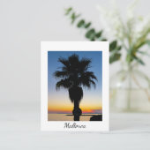 Mallorca Palm Tree in de Sunset Briefkaart (Staand voorkant)