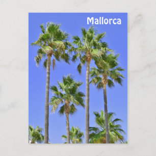 Mallorca Palm Trees Briefkaart