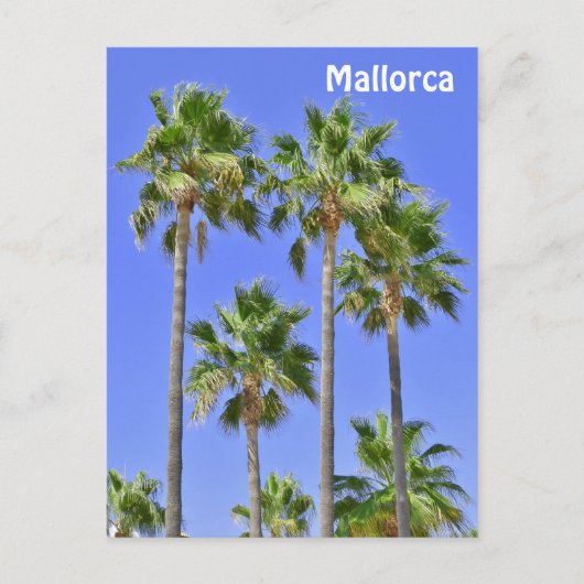 Mallorca Palm Trees Briefkaart (Voorkant)