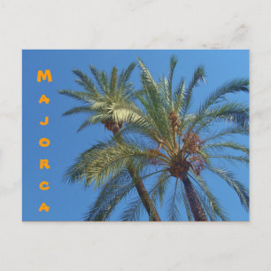 Mallorca Palms - Briefkaart