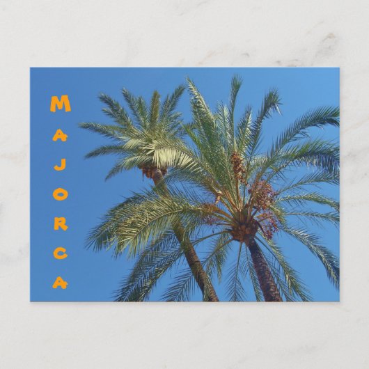 Mallorca Palms - Briefkaart (Voorkant)