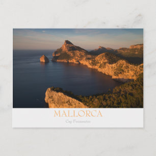 Mallorca - Pet Formentor briefkaart met tekst
