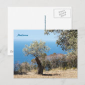 Mallorca Post Kaarten (Voorkant / Achterkant)