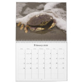 Mallory Jones Fotografie 2012 kalender (Feb 2026)