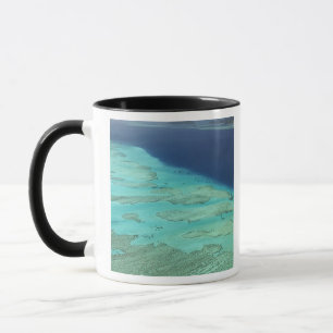 Malolo-barrièrerif voor de kust van Malolo-eiland, Mok