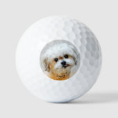 Malshi avec balles de golf texte (Recto)