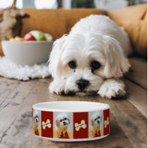 Malshi Dog Bowl met Bone Maroon