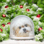 Malshi Snow Globe (Noël)