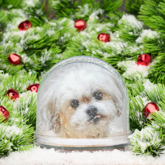 Malshi Snow Globe (Noël)