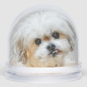 Malshi Snow Globe Sneeuwbol (Voorkant)