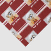 Malshi Tissue Paper Tissuepapier (Detail)