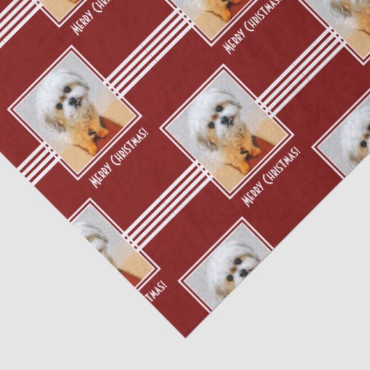 Malshi Tissue Paper Tissuepapier (Detail)