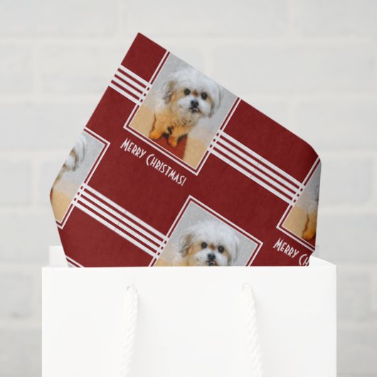 Malshi Tissuepapier (Cadeauzakje)