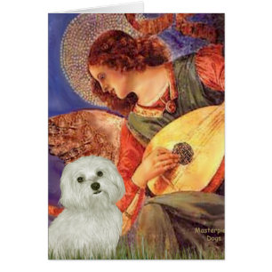 Maltais 11 - Mandolin Angel