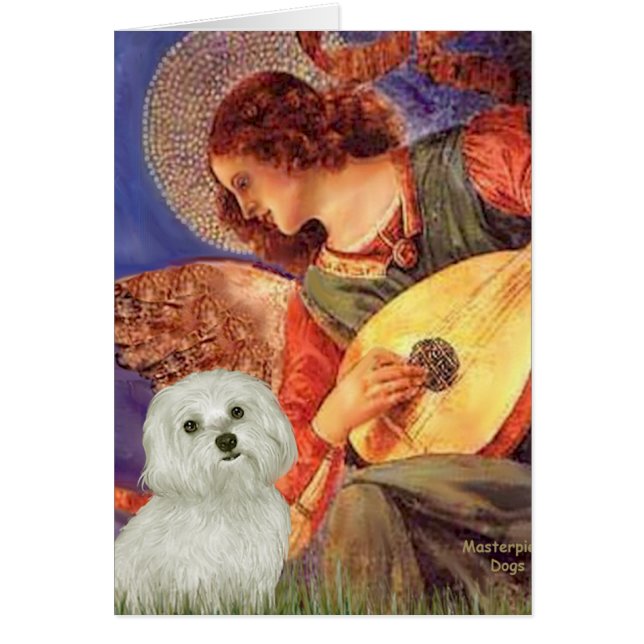 Maltais 11 - Mandolin Angel (Devant)