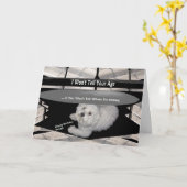 Maltais sous la table Anniversaire Carte d'Humour (Fleur jaune)