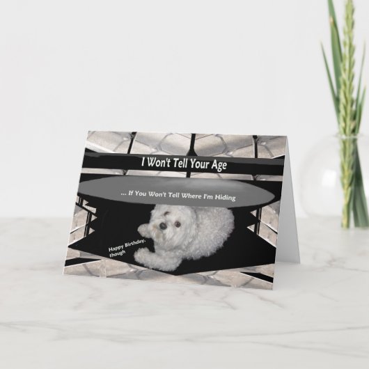 Maltais sous la table Anniversaire Carte d'Humour (Devant)