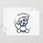 Maltees alles over mij briefkaart (Voorkant / Achterkant)