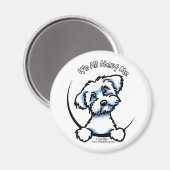 Maltees alles over mij magneet (Voorkant / Achterkant)