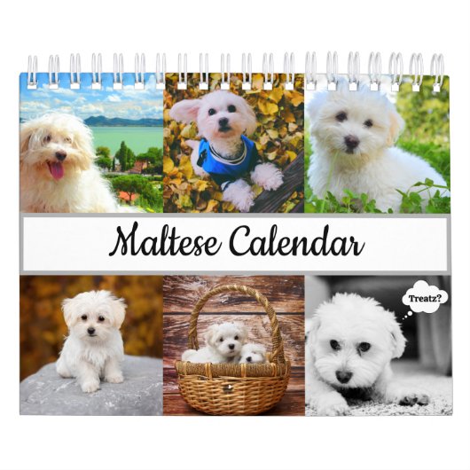 Maltees Calendar Kalender (Hoes)