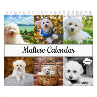 Maltees Calendar Kalender