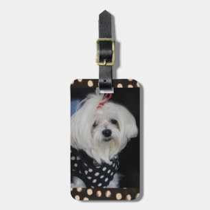 Maltees Dog Bagagelabel