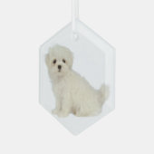 Maltees Dog Pet Animal Glass Ornament (Voorkant links)