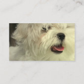 Maltees Dog Visitekaartje (Achterkant)