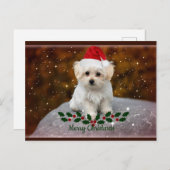 Maltees feestmaal briefkaart (Voorkant / Achterkant)