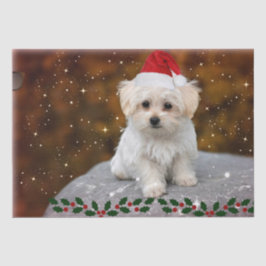 Maltees feestmaal, schattig en knuffel tissuepapier