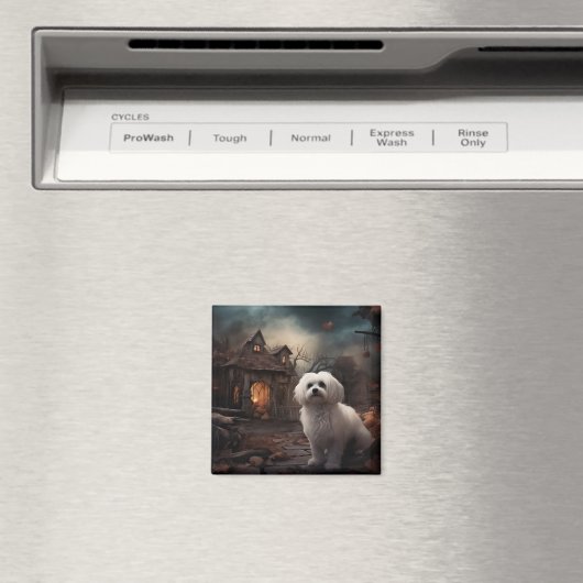 Maltees Halloween eng Magneet (Insitu (Vaatwasser))