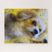 Maltees Hondenras. Legpuzzel (Horizontaal)