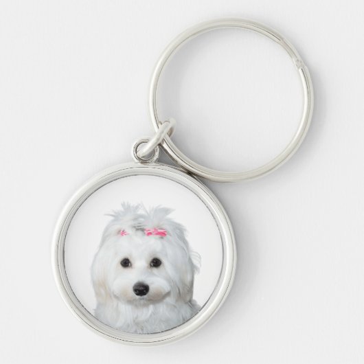 Maltees in wit Schattig puppy Sleutelhanger (Voorkant)