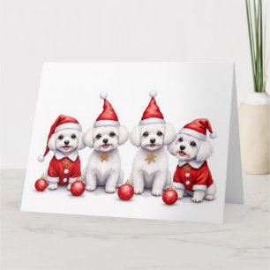 Maltees Kerstjurk Kerstman Muts Kaart