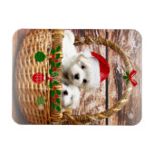 Maltees kerstPuppy, zo schattig en knuffel Magneet (Horizontaal)
