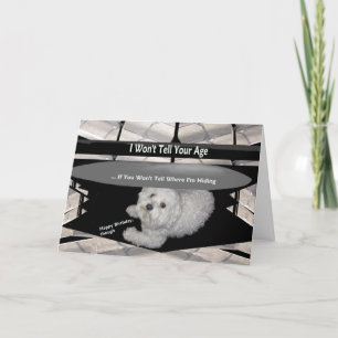 Maltees onder de Table Birthday Humor Card Kaart